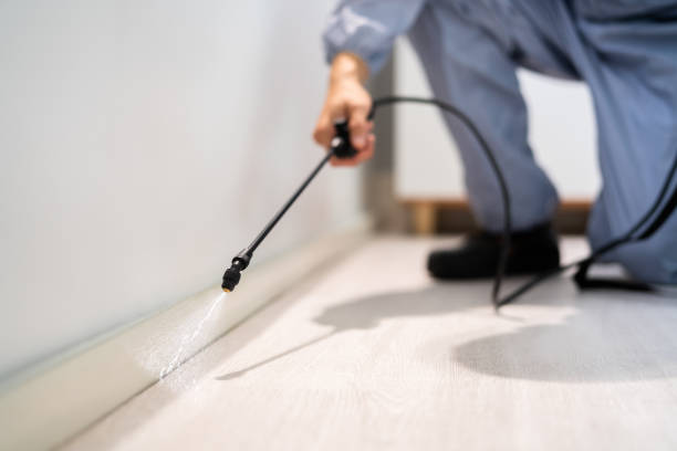 Licensed Pest Control service in Westphalia, MD - Show Me Pest Control