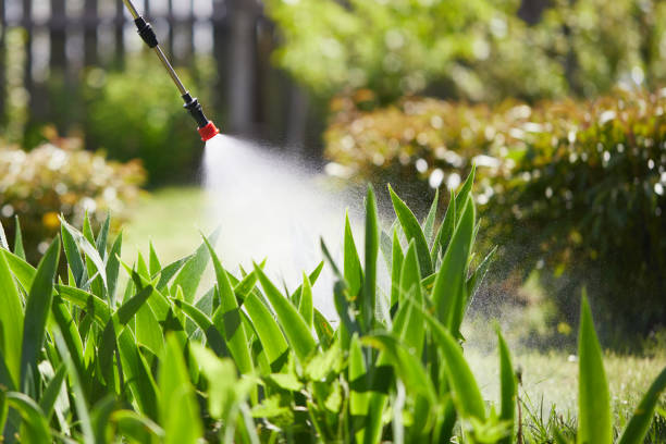 24/7 Emergency Mosquito Control experts in Westphalia, MD