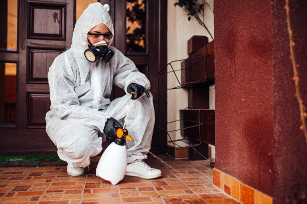 Reliable Mosquito Control contractor in Westphalia, MD by Show Me Pest Control